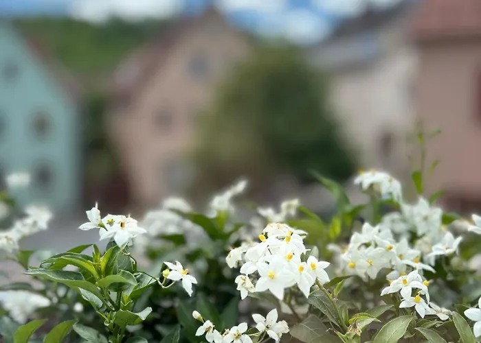 Hotel Rhoenlust Zentrum Bischofsheim an der Rhön