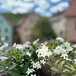 Ξενοδοχείο Rhoenlust Zentrum Bischofsheim an der Rhön