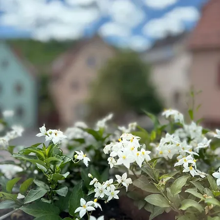 Otel Rhoenlust Zentrum Bischofsheim an der Rhön